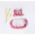 2 Pieces Summer Red And White Check Print Bow Tie Lace Shoulder Detail + Ruffle Hem Layered Skirt Shorts Clothes Set fashionable Girls Outfit